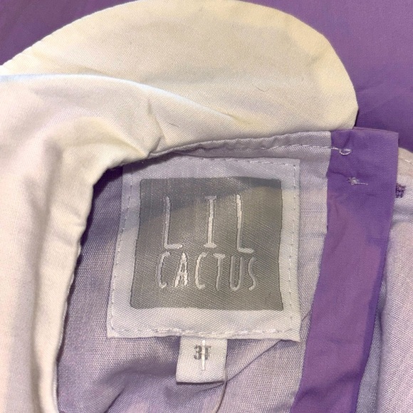 Size 3T Lil Cactus Dress Lined Purple Crayons Back To School - Picture 4 of 11